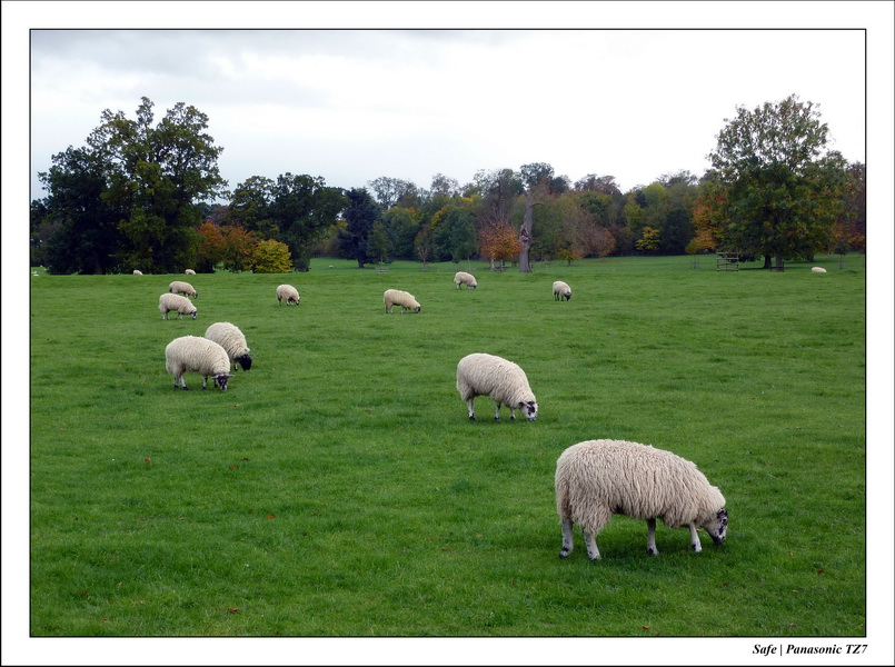 2010 - 10 - Stamford 26